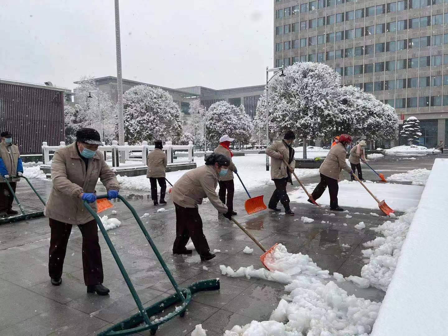 微信图片_20220208084121.jpg 微信图片_20220208084121.jpg